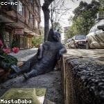 Marielle Rosenbaum Profile Picture
