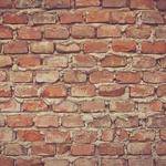 Raina Collier Profile Picture