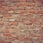 Raina Collier Profile Picture